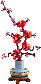 Plum Blossom