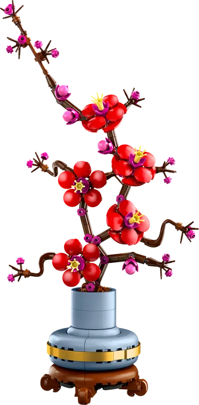 Plum Blossom