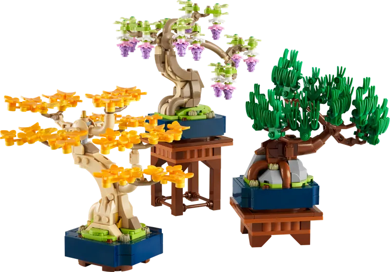 Mini Bonsai Trees