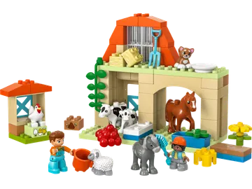 Caring for Animals at the Farm