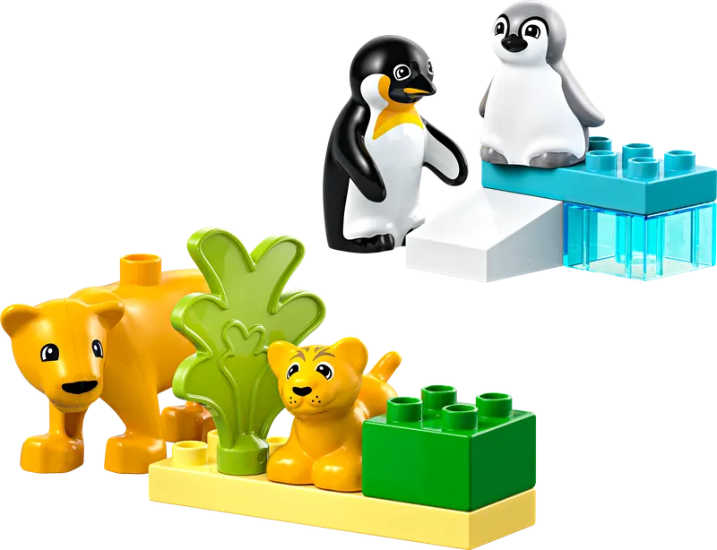 Wild Animal Families: Penguins & Lions