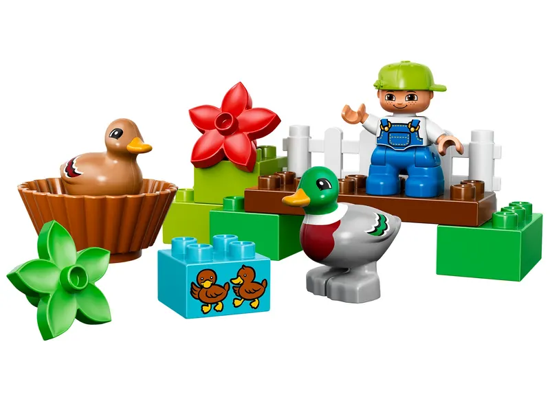 Forest: Ducks