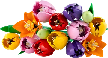 Tulip Bouquet