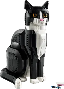 Tuxedo Cat