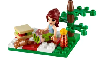 Summer Picnic