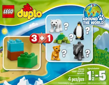 Wildlife Polar Bear