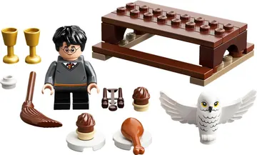 Harry Potter and Hedwig: Owl Delivery