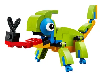 Colorful Chameleon