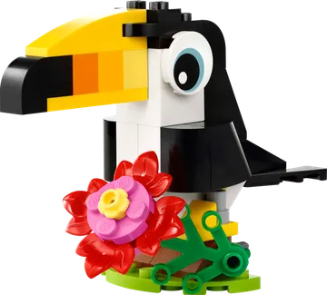 Tropical Toucan