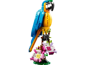 Exotic Parrot