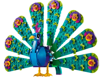 Exotic Peacock