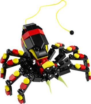 Wild Animals: Surprising Spider