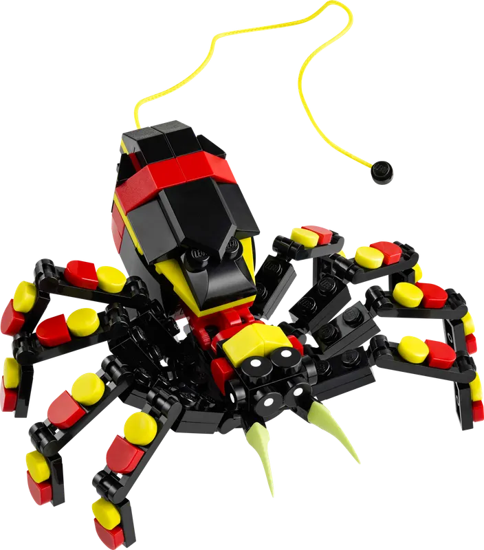 Wild Animals: Surprising Spider