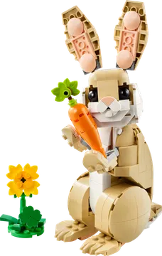 Cute Bunny