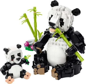 Wild Animals: Panda Family