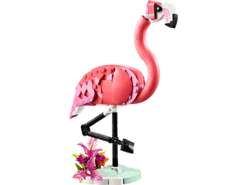 Wild Animals: Pink Flamingo