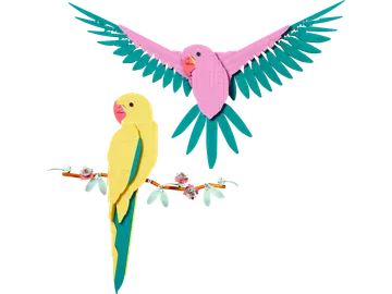 Macaw Parrots