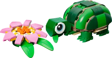 Turtle with a Water Lily Flower