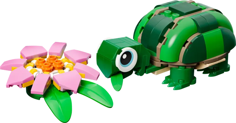 Turtle with a Water Lily Flower