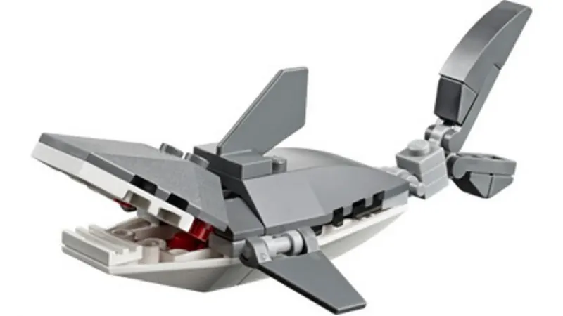 Shark
