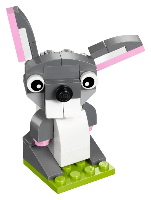 Bunny