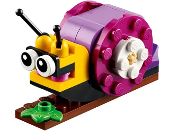 Snail
