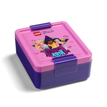 Friends: Girls Rock Lunch Box