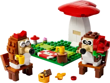 Hedgehog Picnic Date