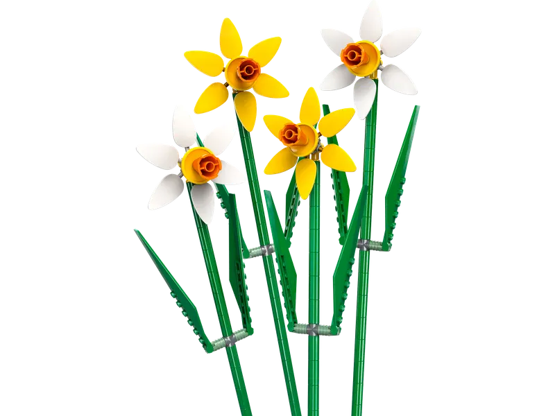 Daffodils