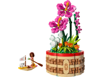 Moana's Flowerpot