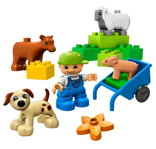 Animals
