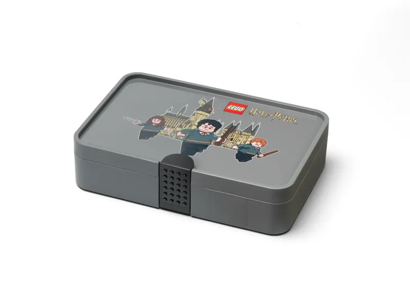 Sorting Box with Harry Potter Print