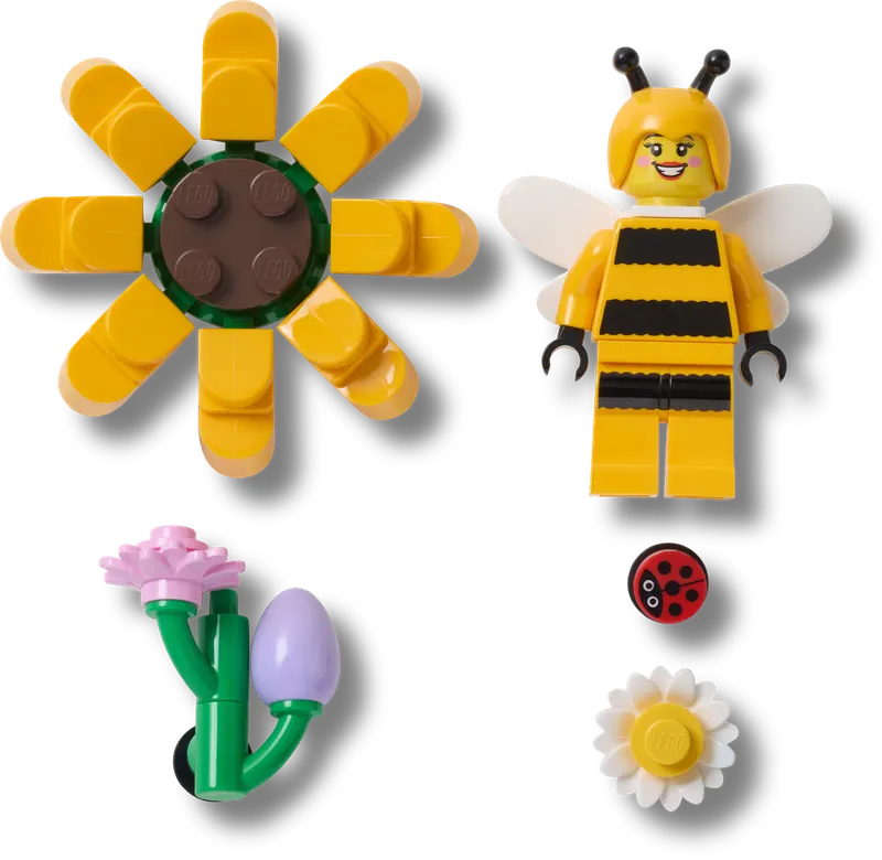 Sunshine Garden 5 Pack