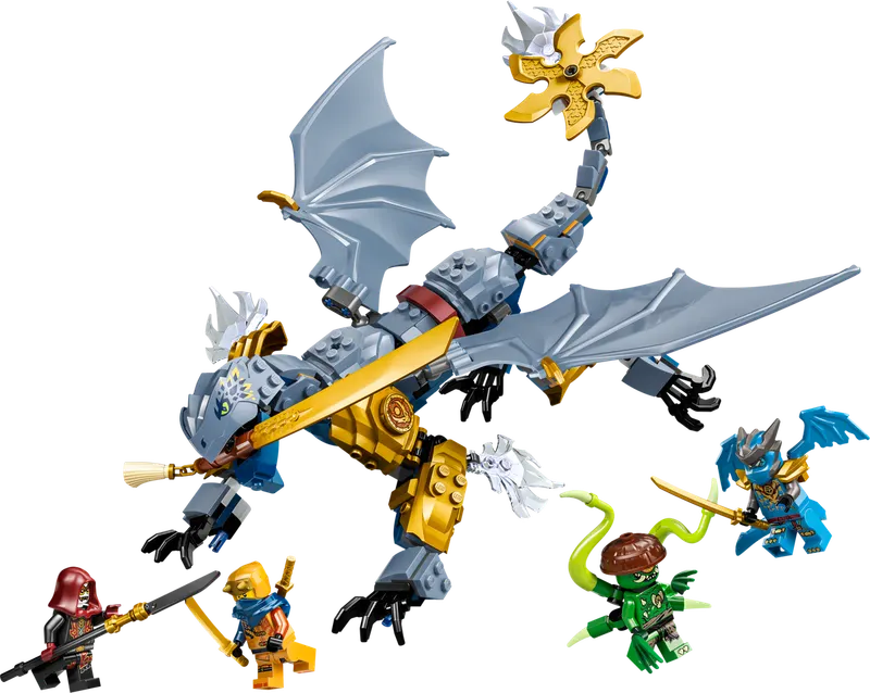 Ninja Dragon Riyu's Battle
