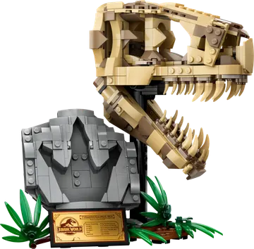 Dinosaur Fossils: T. rex Skull
