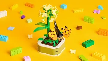 Creativity Workshop: Botanicals