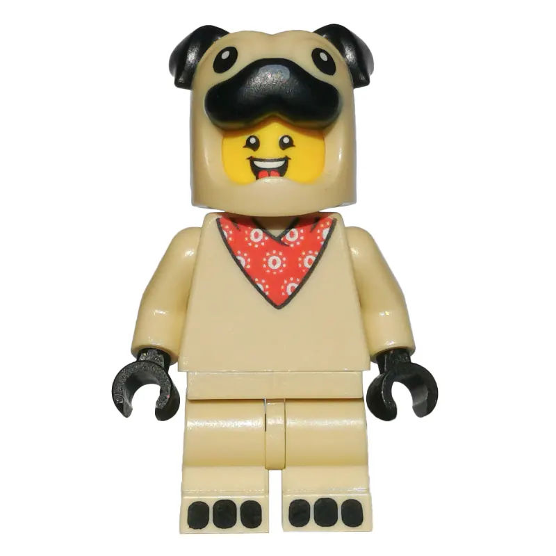 Pug Costume Guy