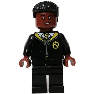 Hufflepuff Student