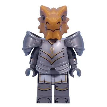 Dragonborn Paladin