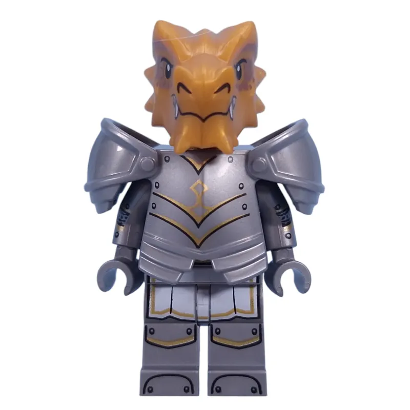 Dragonborn Paladin