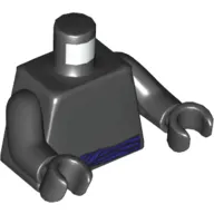 Torso Muscles and Purple Belt Print, Black Arms and Hands