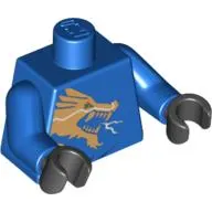 Torso Gold Dragon Head / Gold Lion and 'Jay' on Back Print, Blue Arms, Black Hands