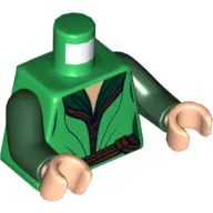 Torso Elven Robe over Dark Green Shirt, Gold Buckle Print, Dark Green Arms, Light Nougat Hands