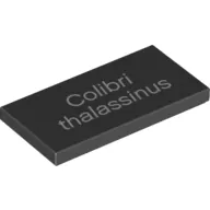 Tile 2 x 4 with White 'Colibri thalassinus' Print