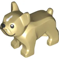 Animal, Dog, French Bulldog, Grumpy Face with Black Nose and Mouth, White Spot on Forehead Print