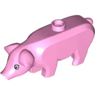 Animal, Pig, Large with Black Eyes and White Pupils and Eyelashes Print