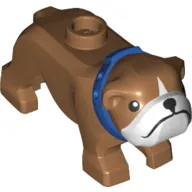 Animal, Dog, Bulldog with White Face, Blue Collar