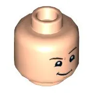 Minifig Head Dudley Dursley, Raised Left Eyebrow, Smirk