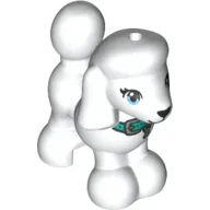Animal, Dog, Poodle with Dark Turquoise Belt print