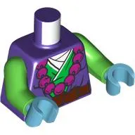 Torso, Green Robe, Magenta Necklace, Dark Brown Belt, White Shirt print, Bright Green Arms, Medium Azure Hands